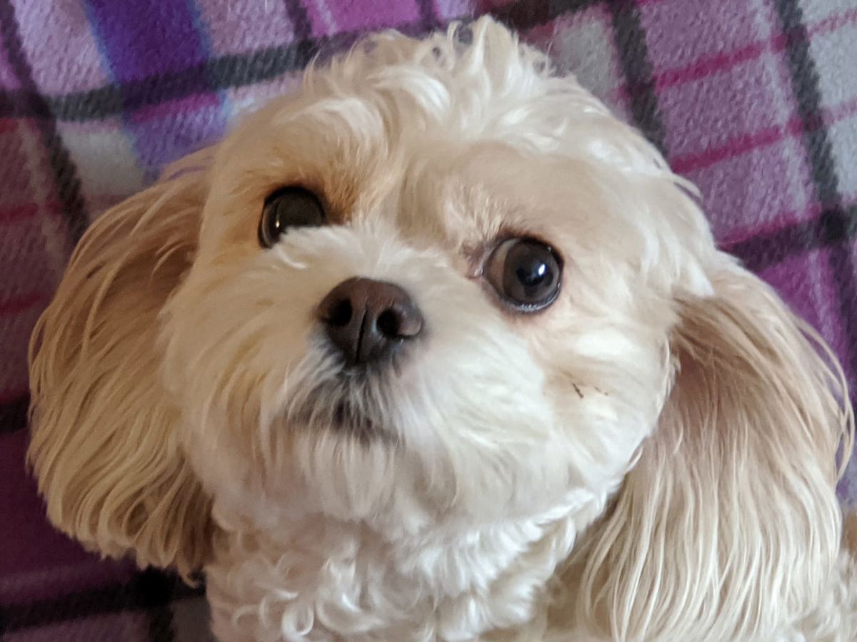 Our Little Lady